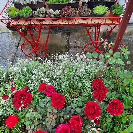 Apartman Bajina Basta バイナ・バシュタ