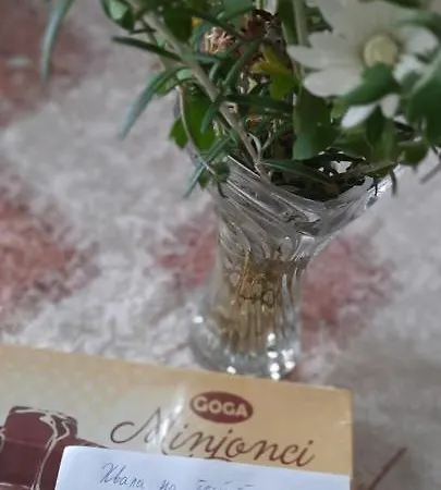 Apartman Bajina Basta