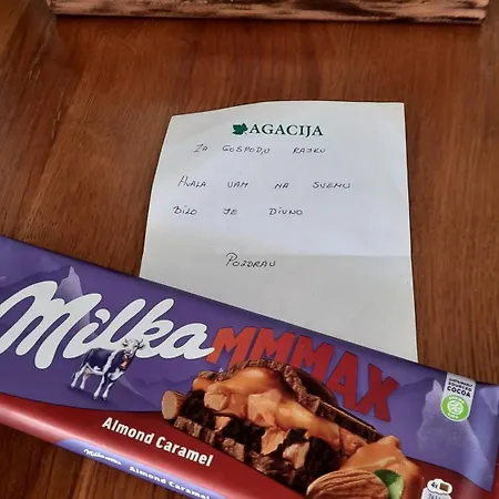 Apartman Bajina Basta * バイナ・バシュタ